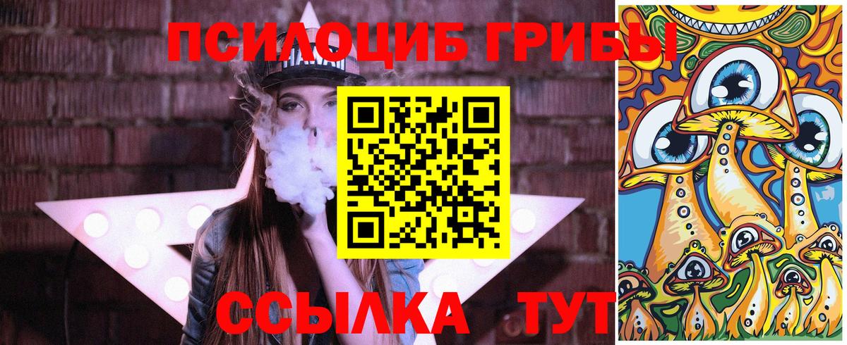 Галлюциногенные грибы прущие грибы  Вход с VPN  Коряжма  Галлюциногенные грибы мицелий 